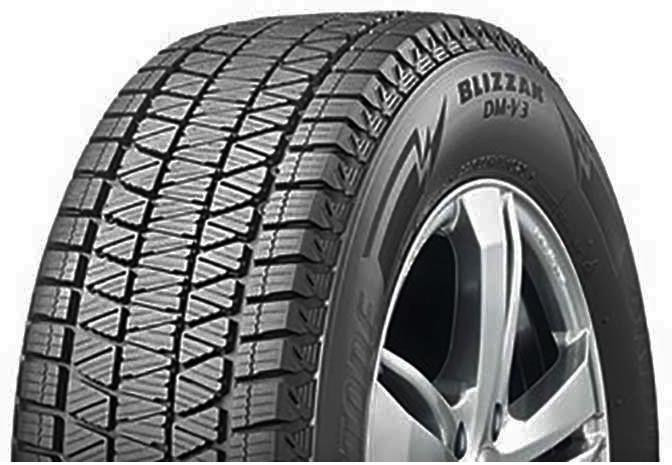 Bridgestone BRIDGEST DM-V3