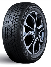 GT Radial GTRADIAL WP2EVO XL